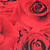  venus contemporânea floral rosa papel de parede 4 cores