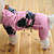  Winter Mantel für Hunde (XS - XL, verschiedene Farben)