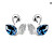 Swan Pattern Earrings