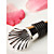  Seashell Wine Bottle Stopper
