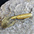  Soft Bait Worm 110mm Slow Sinking Plastic Fishing Lure 4pcs