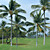 Green Trees Beach and Tropical Nature Mural