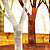  Trees Contemporary Graphics Nature Mural