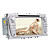  7 Inch Car DVD Player with 3D Interface for  Ford Focus/Mondeo(GPS, 800x480, Bluetooth, TV, RDS, PIP)