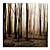  Printed Landscpe Forest Canvas Art with Stretched Frame