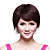  Capless Short 100% Human Hair Straight Practical Wig Side Bang