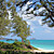  Coastal Landscapes Beach and Tropical Nature Mural