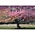  Mural Natureza florescente árvore