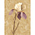  Botanique Nature Mural Floral