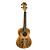  TOM - (TUC-800) Saplted Maple Concert Ukulele with Bag
