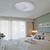  wit plafond licht met een licht