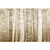  Printed Art Landscape Forest Mist by Pela + Silverman