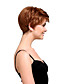  Capless Short High Quality Synthetic Natural Look Golden Brown Straight Hair Wig