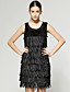  geschichteten Quasten Design ärmellos runder Ausschnitt Kleid / Damenkleider (ff-c-ca1288007)