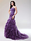  Trumpet/Mermaid Strapless Court Train Tulle Evening Dress With Cascading Ruffles