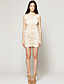  TS Ruched and Mesh Bodycon Dress