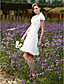  A-line Halter Short/Mini Taffeta Chiffon Lace Wedding Dress