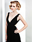  A-line V-neck  Floor-length Cannes Film Festival/ Evening Dress
