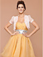  manica corta chiffon / cotone ufficio & carriera giacche / avvolge