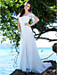  Mantel / Spalte Gericht Zug Chiffon Brautkleid