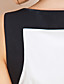  TS Tri-color Belted Dress