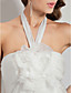  Sheath/Column Halter Floor-length Chiffon Evening Dress