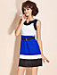  TS Tri-color Belted Dress