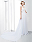  Sheath/ Column V-neck Watteau Train Chiffon Lace Evening Dress