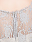  TS Simplicity Mid Sleeve Lace Dress
