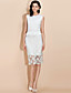  TS Ruffle Waist Cute Sheath Dress