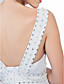  Sheath/ Column V-neck Watteau Train Chiffon Lace Evening Dress