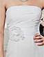  Sheath/ Column Strapless Chapel Train Chiffon Wedding Dress