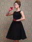  TS VINTAGE Lace Jacquard Full Swing Dress
