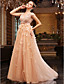  A-line V-neck Sweep Brush Train Tulle Over Chiffon Luxurious Dresses