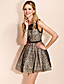  TS Sleeveless Lace Princess Belt Dress