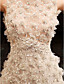  Sheath Column Bateau Sweep Brush Train Tulle Over Chiffon Luxurious Dresses