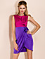  TS Contrast Color Gather Waist Dress
