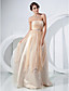  A-line Strapless Floor-length Tulle Evening Dress