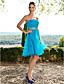  A-line Knee-length Organza Dress With Beading
