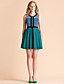  TS Contrast Color Checked Sleeveless Jersey Swing Dress