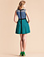  TS Contrast Color Checked Sleeveless Jersey Swing Dress