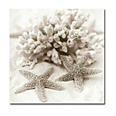 Handmade Oil Painting on Canvas - Starfish 30" x 30" (SZH037)