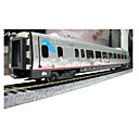 HO Scale Train Model--Business Class