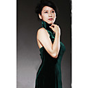 Stehkragen ärmellose bodenlangen Cheongsam / Qipao / chinesisch Kleid (hg064)