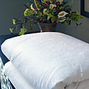Free Shipping - Jacquard Mulberry Silk Comforter (0600-SCTHB)