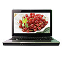 laptop-HASEE 14,0 pentium "levou-Intel Core2 (Penryn) t4400 2.2g-1GB DDR2-250g-ATI HD 4530-webcam dvdrw (smq3814)