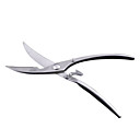 Top Quality Forged Stainless Steel All Purpose Kitchen Shears Scissors (0749-016)