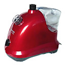Garment Steamer(0653-ST1022)