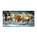 se extendía animales abstractos hechos a mano de pintura a caballo (0250-CH-24)