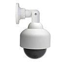 Big Circle Simulated Indoor/Outdoor Security Camera with Blinking Red LED